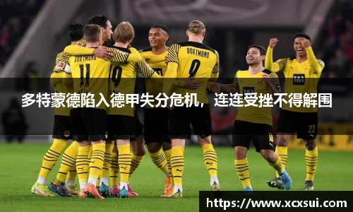 BoB半岛·体育中国官方网站
