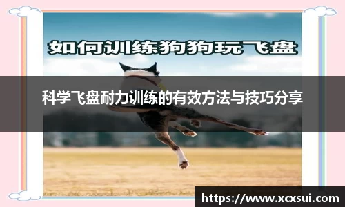 半岛bob·官方网站