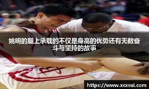 BoB半岛·体育中国官方网站