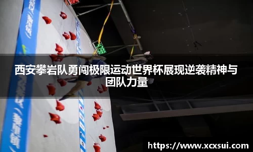 半岛·BOB官方网站