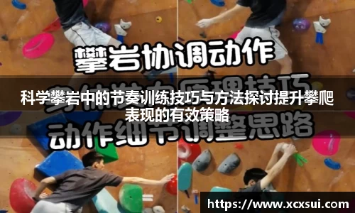 半岛bob·官方网站