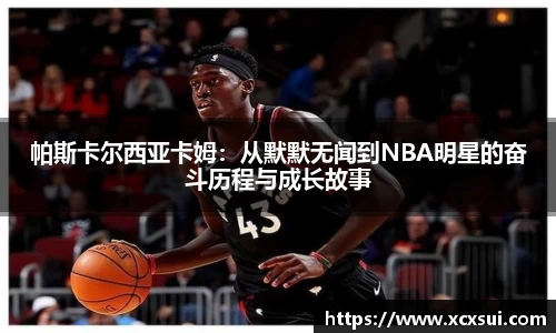 BoB半岛·体育中国官方网站