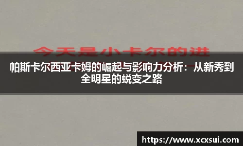 半岛bob·官方