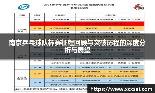 南京乒乓球队杯赛征程回顾与突破历程的深度分析与展望